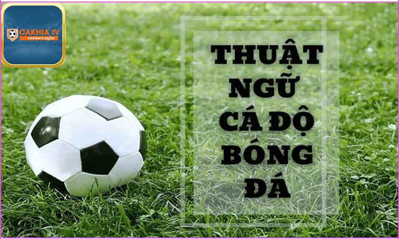 Thuật ngữ cá độ bóng đá và sự phát triển của nó tại diễn đàn Cakhiatv